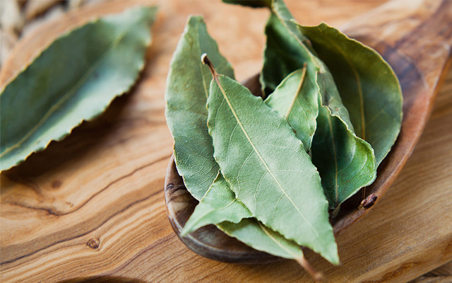 Bay leaves (Lá nguyệt quế)