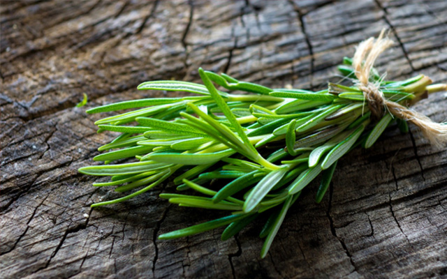 Lá hương thảo (Rosemary)